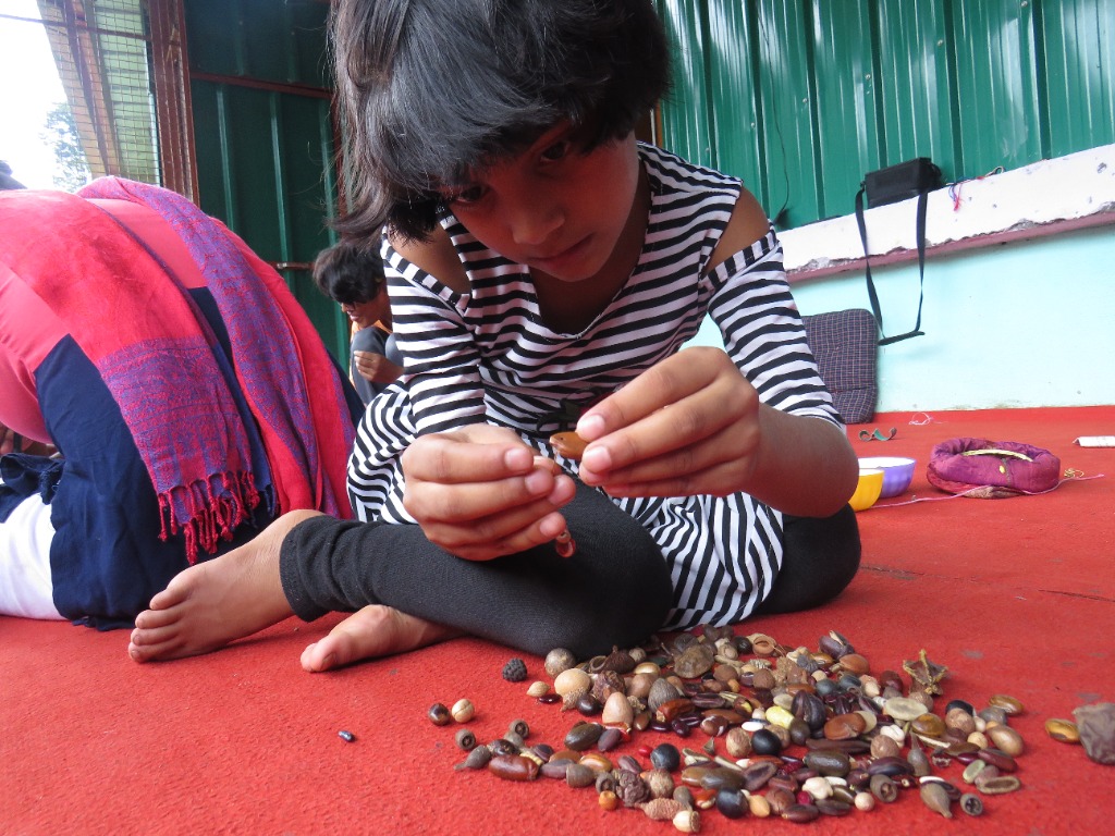 Sorting Seeds and Beads