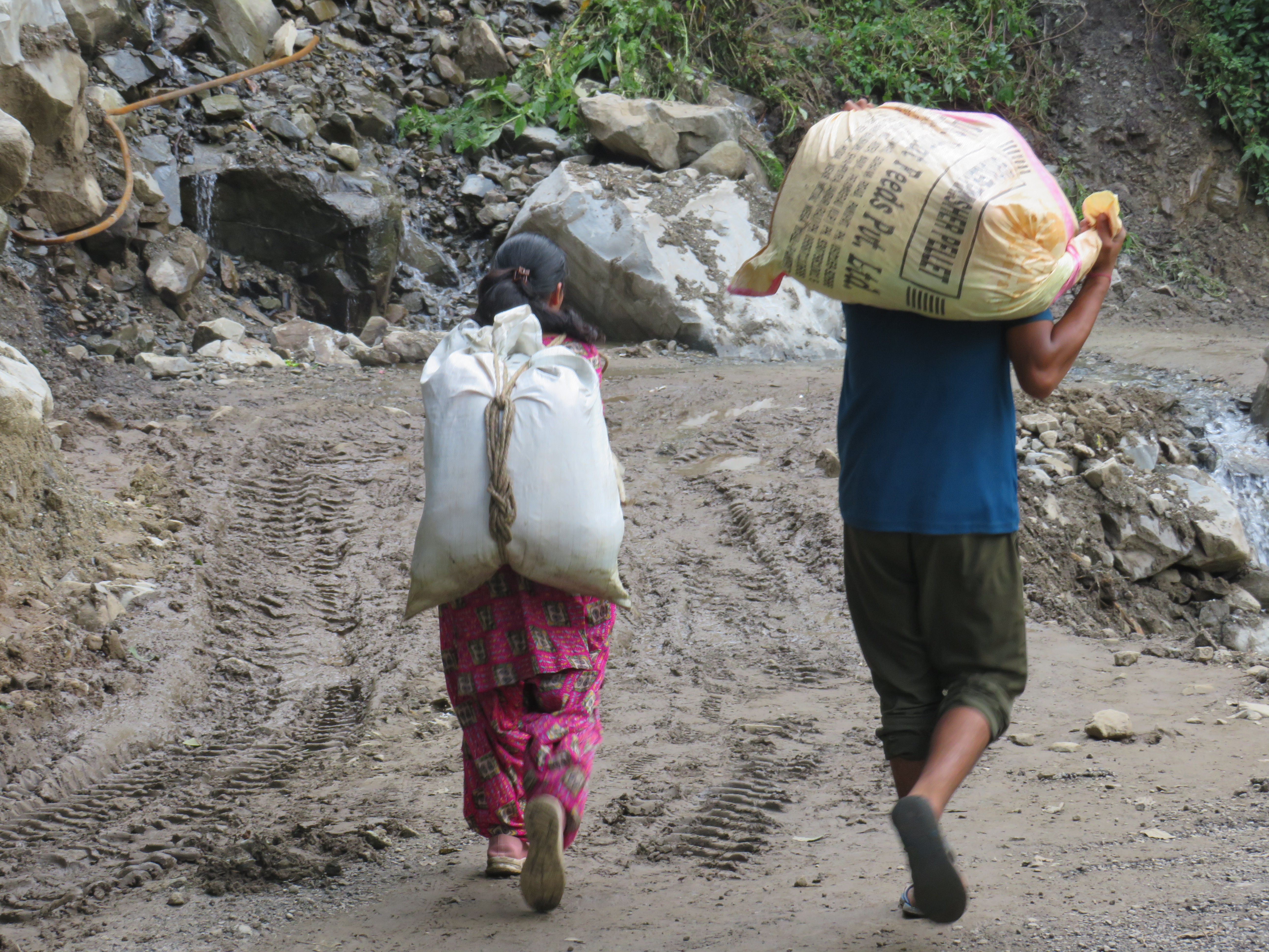 Humanitarian Response
