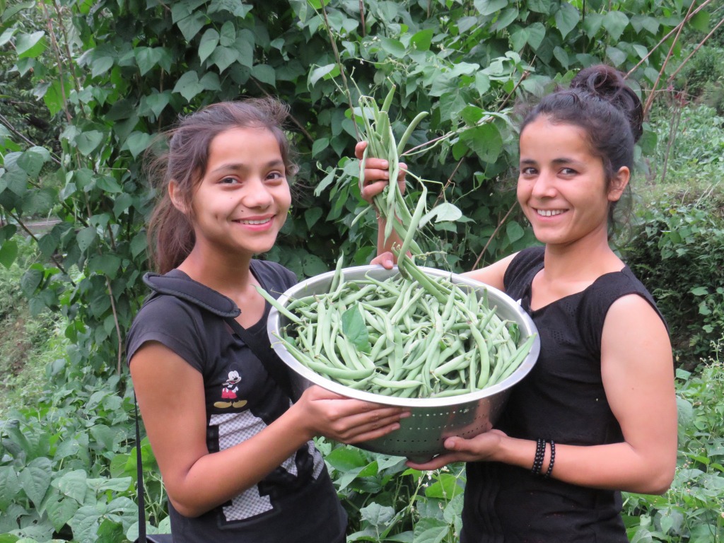 Local Produce