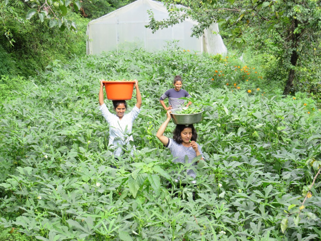 Sustainable Farming