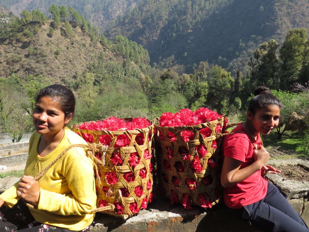 Traditional Baskets