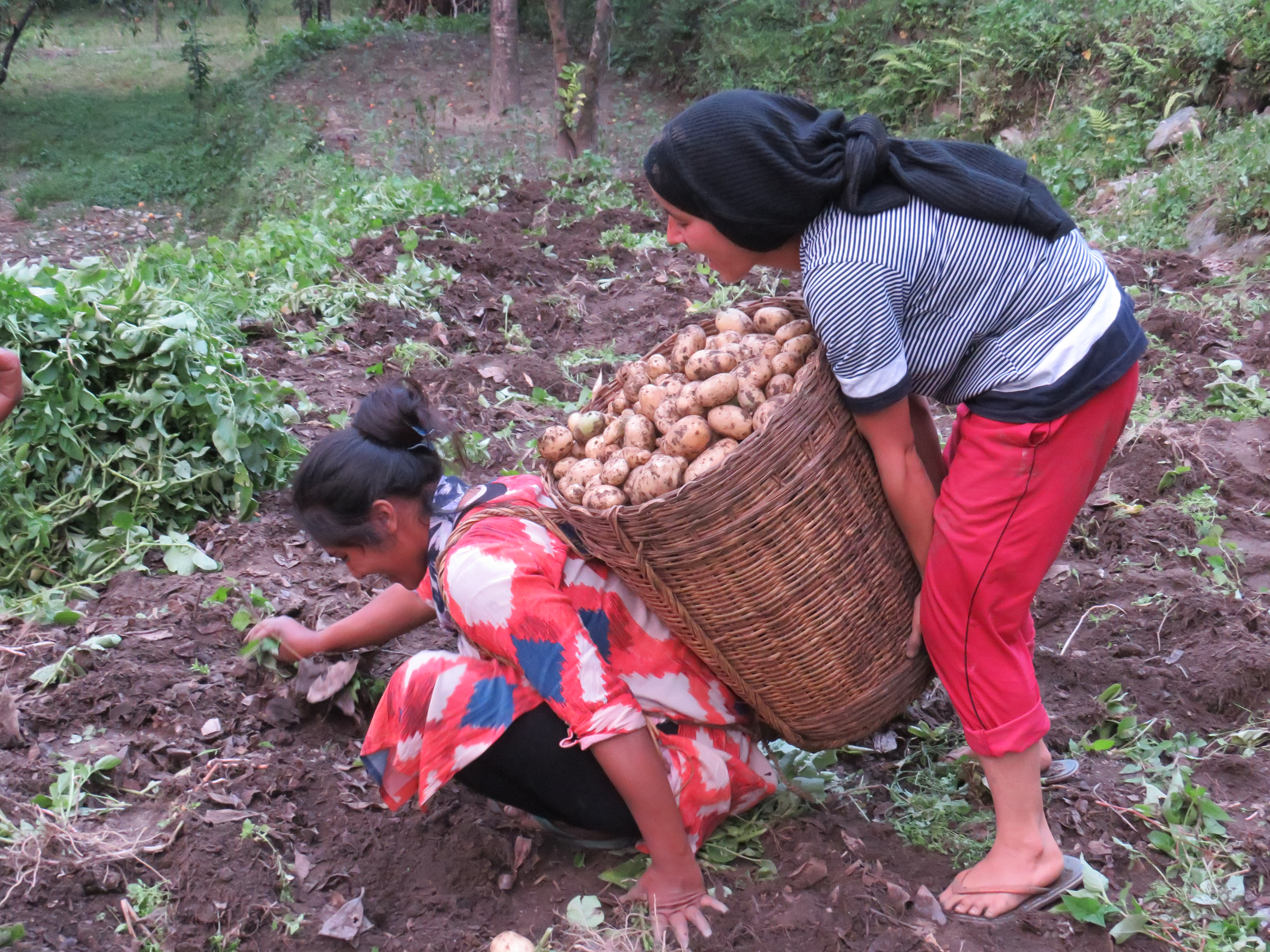 Sustainable Livelihoods